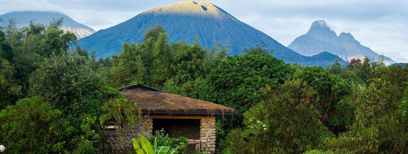 Mountain Gorilla View Lodge